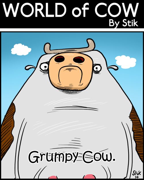 Grumpy Cow