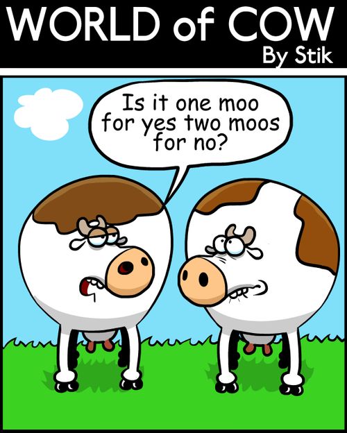 'Is it one moo for yes two moos for no?'