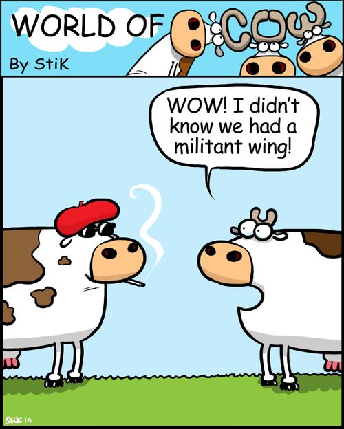'Wow! I didn't know we had a militant wing!'