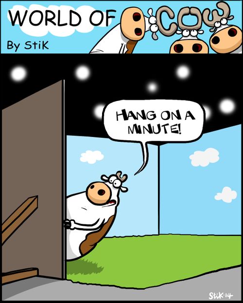 'Hang on a minute...'