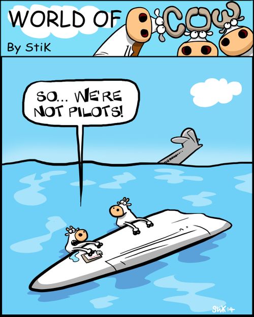 'So...We're not pilots!'