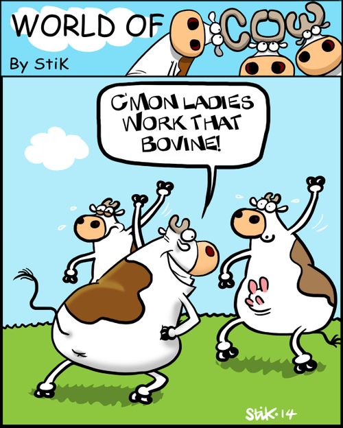 'C'Mon ladies, work that bovine!'