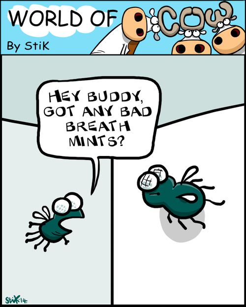 'Hey buddy, got any bad breath mints?'