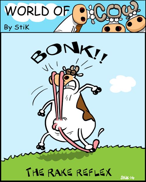 The Rake Reflex