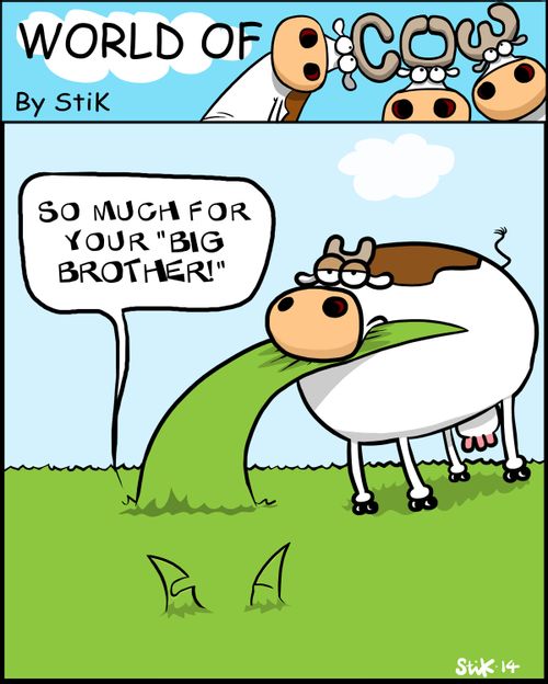 'So much for your 'Big Brother!''