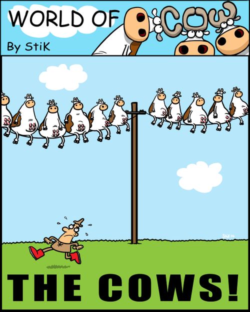 The Cows!