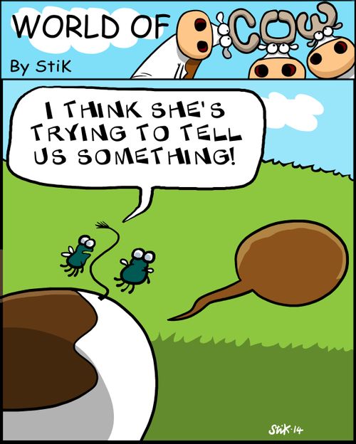 'I think she's trying to tell us something!'