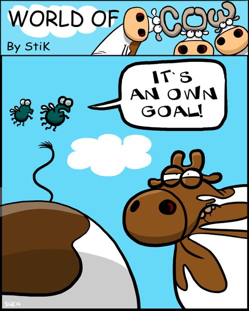 'It's an own goal!'