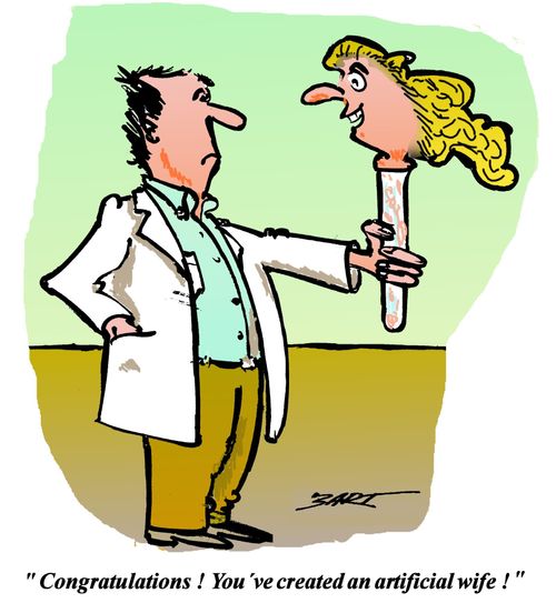 'Congratulations! You've created an artificial wife!'