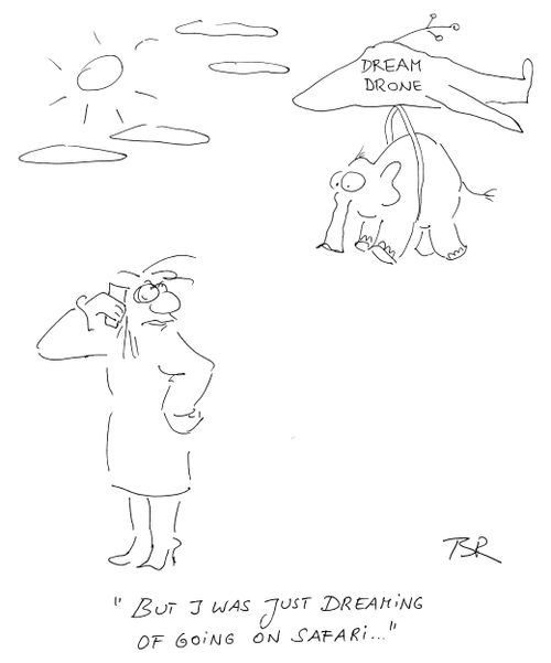 'But I was just dreaming of going on safari...'