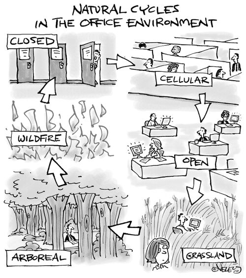 Natural Cycles in the Office Environment