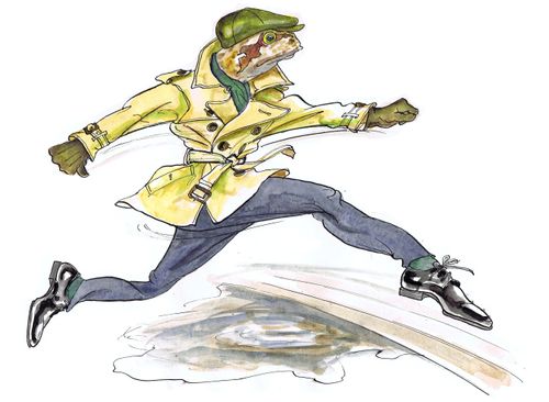 Frog jumping over a puddle.