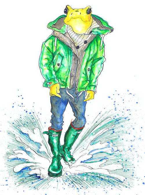 Frog in the puddles.
