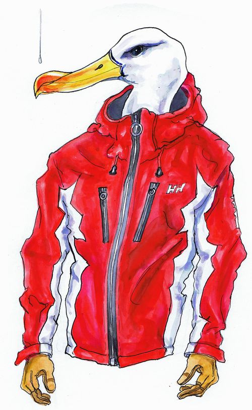 Fowl Weather