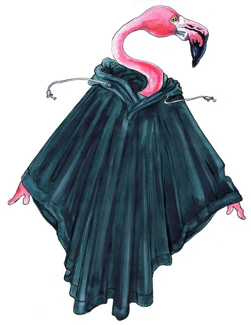 Flamingo in a poncho