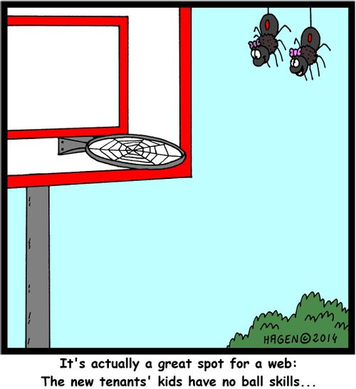 'It's actually a great spot for a web: The new tenants' kids have no ball skills...'