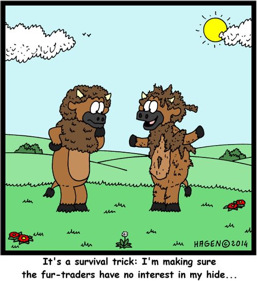 'It's a survival trick: I'm making sure the fur-traders have no interest in my hide...'