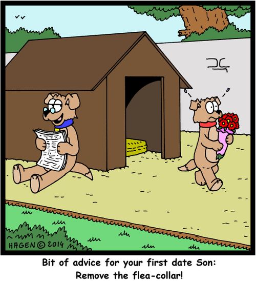 'Bit of advice for your first date Son: Remove the flea-collar!'