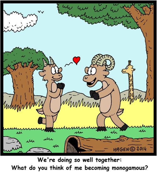 'We're doing so well together: What do you think of me becoming monogamous?'