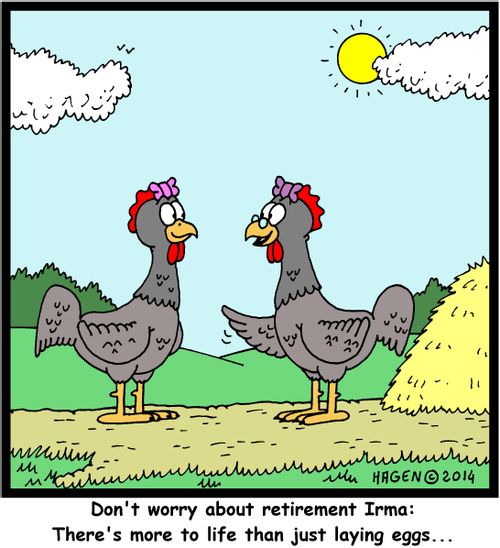 'Don't worry about retirement Irma: There's more to life than just laying eggs...'
