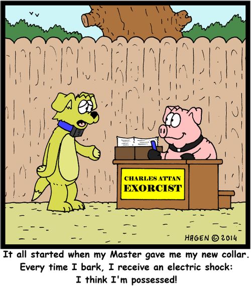 'It all started when my Master gave me my new collar. Every time I bark, I receive an electric shock: I think I'm possessed!'
