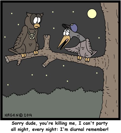 'Sorry dude, you're killing me, I can't party all night, every night: I'm diurnal remember!'