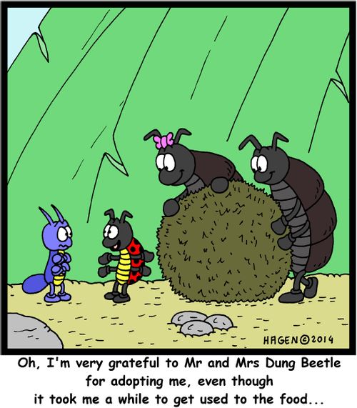 'Oh, I'm very grateful to Mr and Mrs Dung Beetle for adopting me, even though it took me a while to get used to the food...'