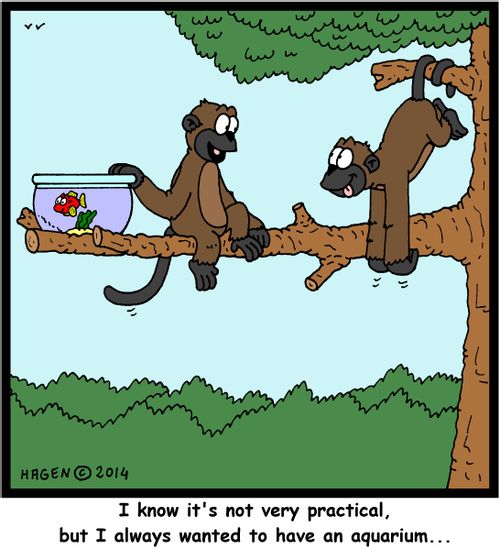 'I know it's not very practical, but I always wanted to have an aquarium...'