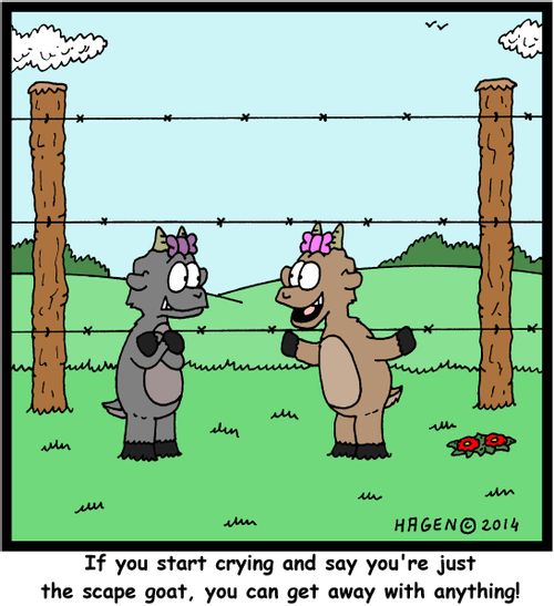 'If you start crying and say you're just the scape goat, you can get away with anything!'
