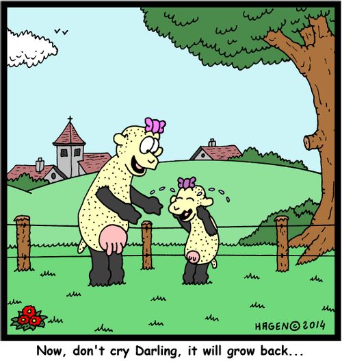 'Now, don't cry Darling, it will grow back...'