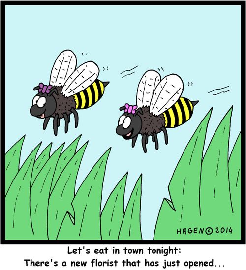 'Let's eat in town tonight: There's a new florist that has just opened...'