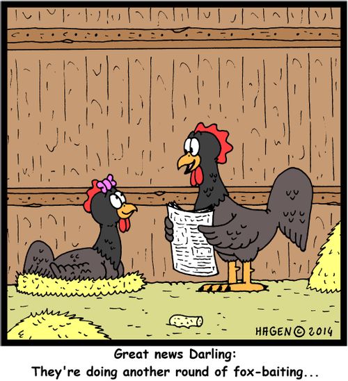 'Great news Darling: They're doing another round of fox-baiting...'