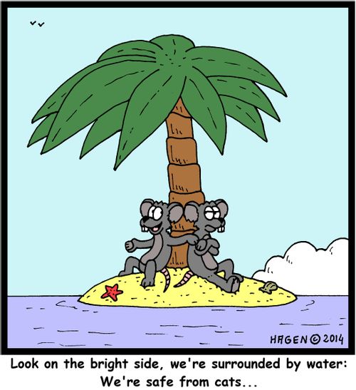 'Look on the bright side, we're surrounded by water: We're safe from cats...'