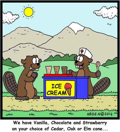 'We have Vanilla, Chocolate and Strawberry on your choice of Cedar, Oak or Elm cone...'