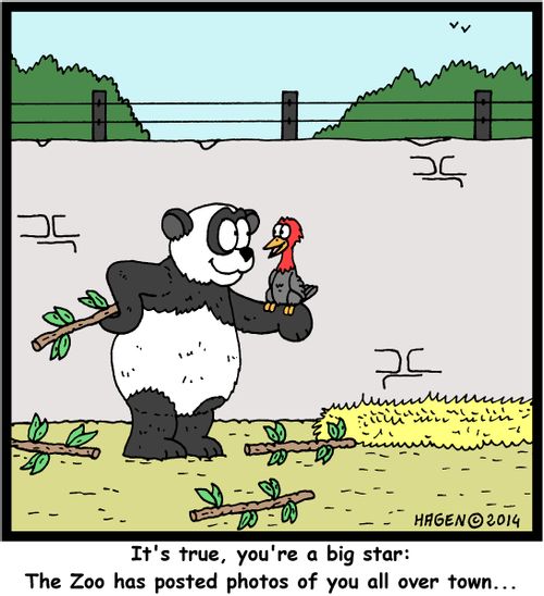 'It's true, you're a big star: The Zoo has posted photos of you all over town...'