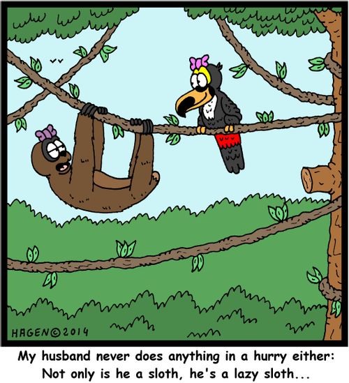 'My husband never does anything in a hurry either: Not only is he a sloth, he's a lazy sloth...'