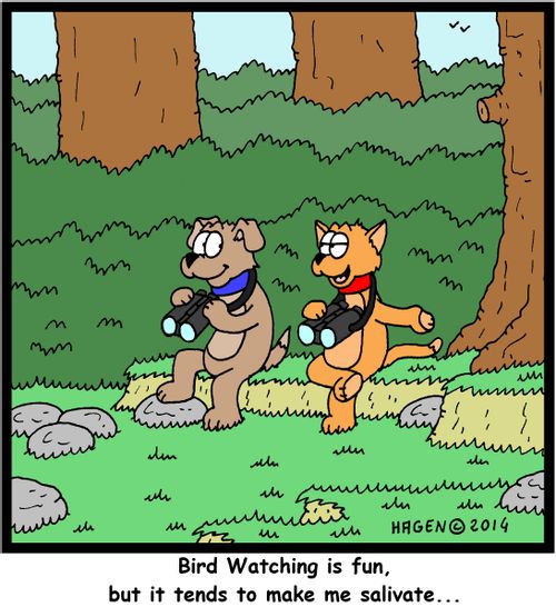 'Bird Watching is fun, but it tends to make me salivate...'