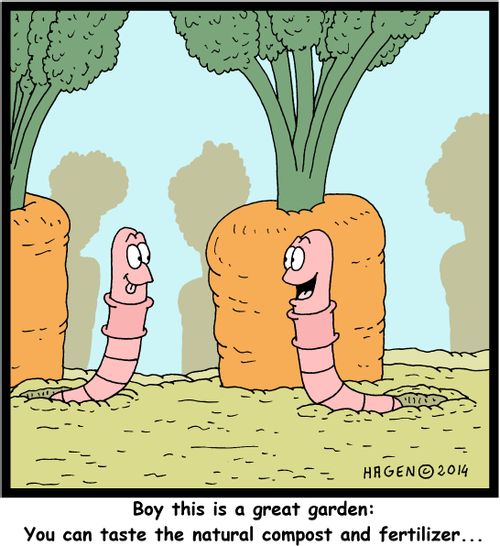 'Boy this is a great garden: You can taste the natural compost and fertilizer...'