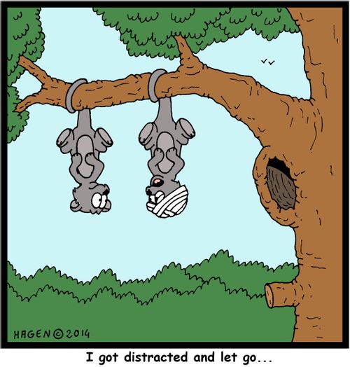 'I got distracted and let go...'