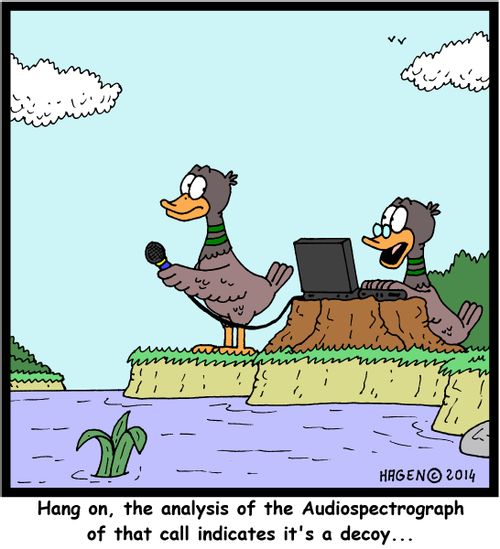 'Hang on, the analysis of the Audiospectrograph of that call indicates it's a decoy...'