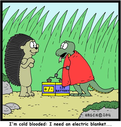'I'm cold-blooded: I need an electric blanket...'