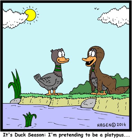 'It's Duck Season: I'm pretending to be a platypus...'