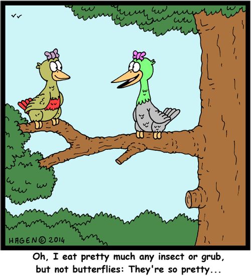 'Oh, I eat pretty much any insect or grub, but not butterflies: They're so pretty...'