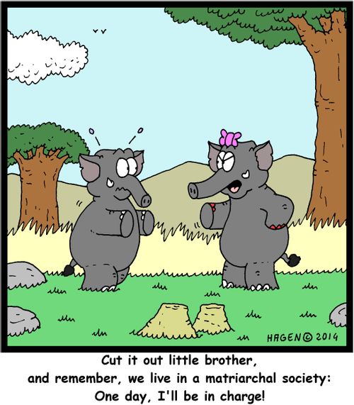 'Cut it out little brother, and remember, we live in a matriarchal society: One day, I'll be in charge!'