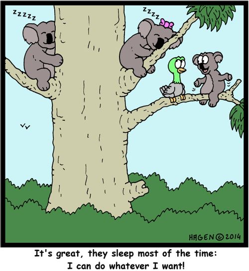 'It's great, they sleep most of the time: I can do whatever I want!'