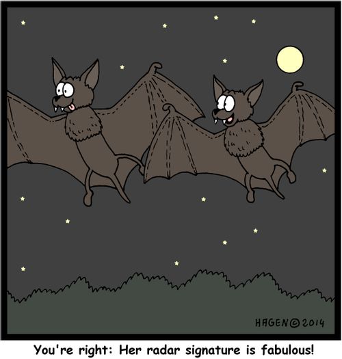 'You're right: Her radar signature is fabulous!'