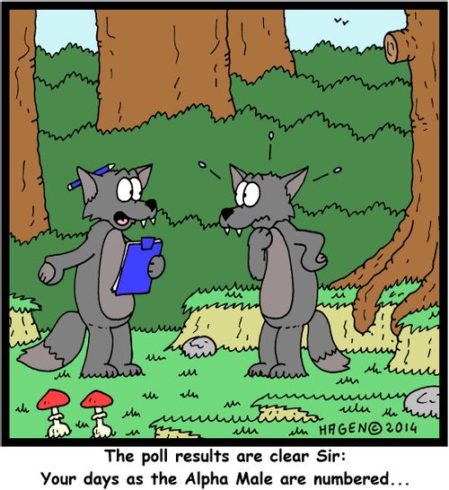 'The poll results are clear Sir: Your days as the Alpha Male are numbered...'