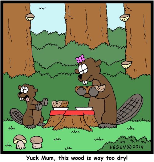 'Yuck Mum, this wood is way too dry!'