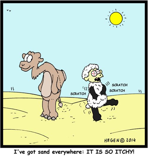 'I've got sand everywhere: IT IS SO ITCHY!'