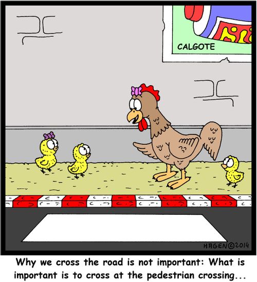 'Why we cross the road is not important: What is important is to cross at the pedestrian crossing...'